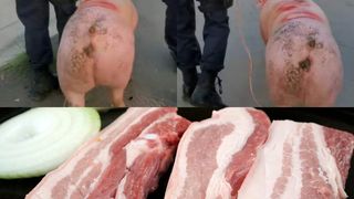 Un porc a fost salvat de jandarmi înainte de a fi sacrificat. Animalul a fost luat dintr-o familie de români