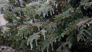 Un bărbat a murit din cauza frigului, iar alte trei persoane au ajuns în şoc hipotermic la spital