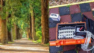 Tomograf pentru copaci, în România