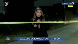 Cadavru carbonizat găsit &icirc;n Ilfov