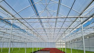 Cum se poate pastra o temperatura potrivita intr-un solar pentru legume ? 