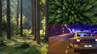 Un tânăr a fost găsit spânzurat într-o pădure din Poiana Câmpina. Sora lui a fost cea care l-a găsit