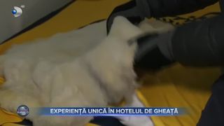 Experiență unică &icirc;n hotelul de gheață