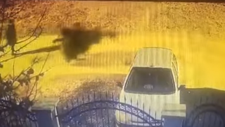 Un brad din fața curții unui gălățean a fost furat. Hoții au fugit imediat cu bradul