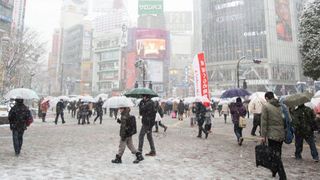 Cel puțin 17 morți și 90 de răniți, în urma unei furtuni de zăpadă din Japonia