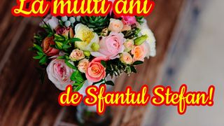La mulți ani, Stefan! La mulți ani, Stefania!