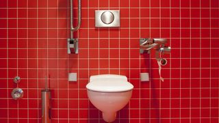 VIDEO- Toalete la preț de garsoniere - Prețul toaletelor publice din Satu Mare este echivalentul a patru garsoniere