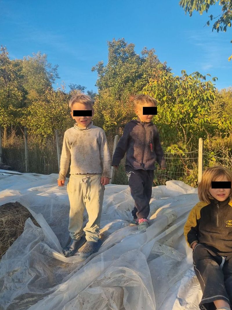 „Mami ne-a părăsit și nu i-a păsat de noi!” Drama a cinci frățiori din Prahova, care se luptă să trăiască de pe o zi pe alta. Micuții trăiesc într-o casă care stă să se dărâme, alături de bunica lor