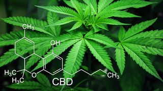 Un bărbat din Buzău este acuzat de trafic de droguri intern și internațional