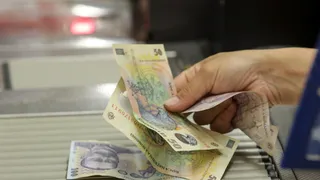 VIDEO- Ratele la IRCC - cu 60% mai mult față de anul trecut