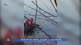 Focar de gripă aviară la Suceava