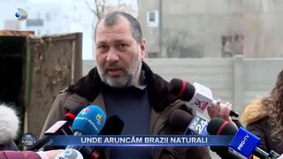 Unde aruncăm brazii naturali