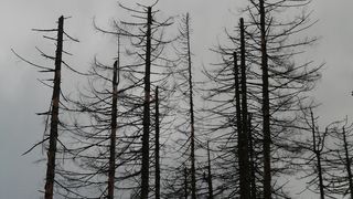 VIDEO- Iarna își face apariția în țară: urmează cod galben și portocaliu de ploi și ninsori