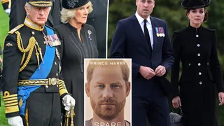 Cine a scris, de fapt, cartea prințului Harry. Este implicat și George Clooney