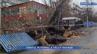 V&acirc;ntul puternic a făcut ravagii