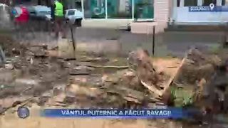 V&acirc;ntul puternic a făcut ravagii