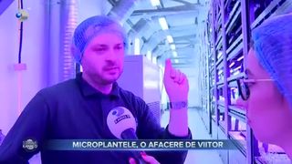 Microplantele, o afacere de viitor