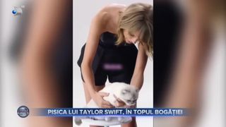 Pisica lui Taylor Swift, &icirc;n topul bogăției