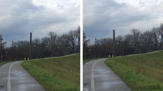 VIDEO-Câinii fără stăpân au mai făcut o victimă