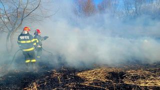 Incendiu &icirc;n Slobozia:  au ars 3.000 de metri pătraţi de păpuriş dintr-o baltă secată