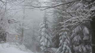 Ninsori în România. Ce transmit specialiștii