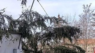 Un copac a fost dobor&acirc;t de v&acirc;nt &icirc;n curtea unui spital din Miercurea Ciuc