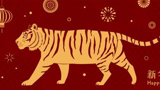 Horoscop chinezesc 2023 Tigru. Nativii Tigru vor avea un an plin de surse noi de venit