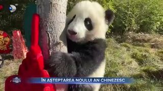 &Icirc;n așteptarea noului an chinezesc