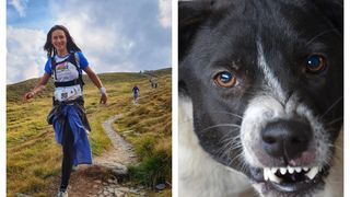 VIDEO | Declarațiile cutremurătoare ale martorilor tragediei de lângă Lacul Morii, unde Ana a fost ucisă de câini: „Era înconjurată de vreo 20 de câini, era decedată”