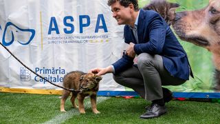 VIDEO- Nicușor Dan, prima reacție după ce Ana Oroș a fost ucisă de o haită de câini în timp ce alerga