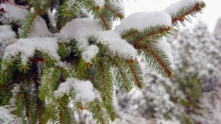 VIDEO- Vremea se răcește brusc &icirc;n toată țara! Temperaturi de p&acirc;nă la -10&deg;C