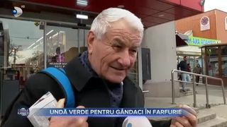 Undă verde pentru g&acirc;ndaci &icirc;n farfurie