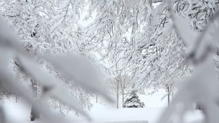 Prognoza meteo pentru perioada 23 ianuarie-20 februarie 2023. 