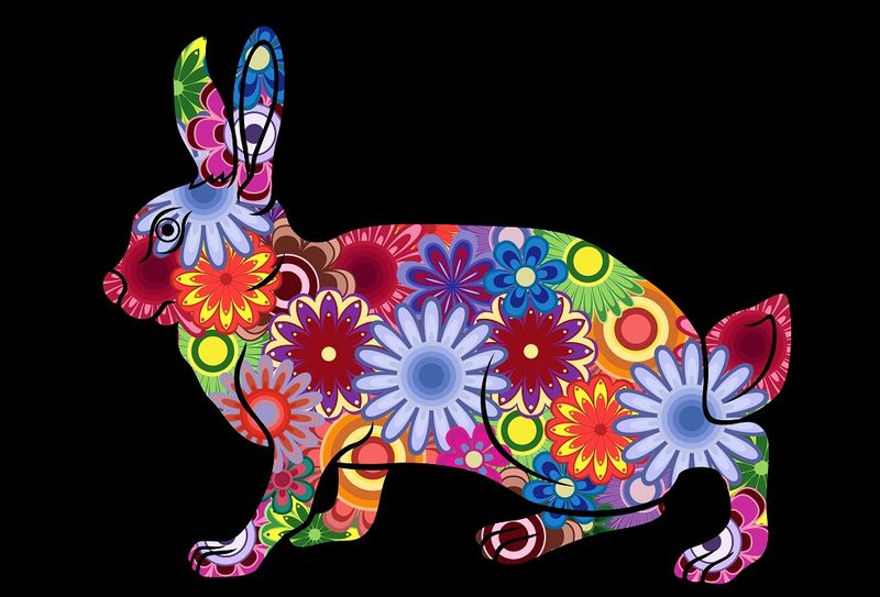 Horoscop chinezesc 2023 Iepure.