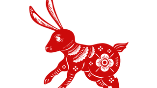 Horoscop chinezesc 2023 Iepure.