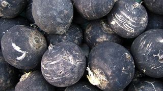 Ridichea neagră beneficii. Ajută la tratarea răcelii și a gripei