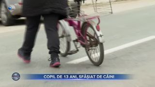 Copil de 13 ani, sf&acirc;șiat de c&acirc;ini