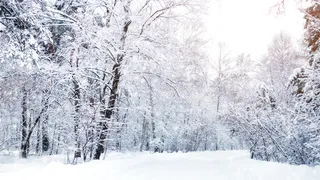 Strat de zăpadă de 1,36 metri în România. Risc de avalanșă