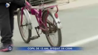 Copil de 13 ani, sfâșiat de câini