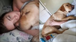 Povestea emoționantă a femeii care a aflat că are cancer datorită labradorului ei: &bdquo;Mă &icirc;mpingea cu botul &icirc;n acel loc, părea că vrea să-mi arate ceva&rdquo;