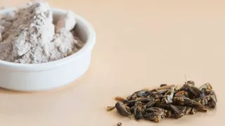 Preț făină de greieri. C&acirc;t costă făina de greieri &icirc;n magazinele din Rom&acirc;nia?