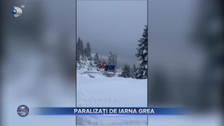 Paralizați de iarna grea