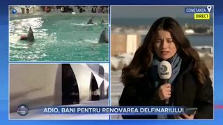 Adio, bani pentru renovarea delfinariului