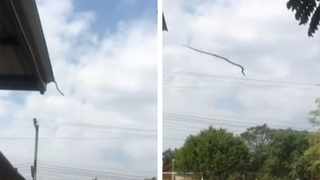 VIDEO- „Aș fi putut să mor fără să știu că șerpii pot face asta”. Reacția localnicilor după ce au văzut că un șarpe a sărit de pe acoperișul unei case