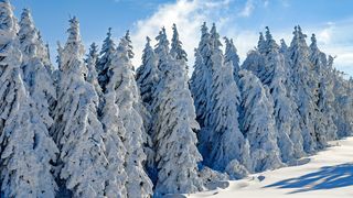 Va ninge în februarie 2023? Anunțul meteorologilor