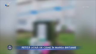 Fetiță ucisă de câine în Marea Britanie