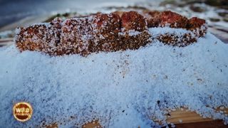 wild cooking burtă de porc prăjită