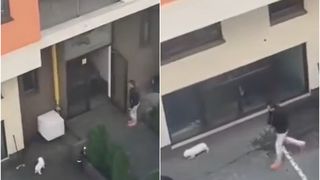 VIDEO - Un bărbat este cercetat pentru că și-a bătut câinele care nu voia să intre în bloc: „Becky, iei bătaie, treci acasă!”