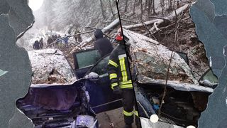 VIDEO - Vântul face ravagii! Un copac a căzut peste un autoturism aflat în trafic, în Caraș-Severin. În urma impactului, un minor a decedat