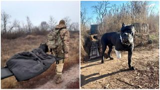 FOTO - Povestea lui Vasile, câinele-soldat din Ucraina. Patrupedul și-a ros singur piciorul pentru a nu fi capturat de armata rusă